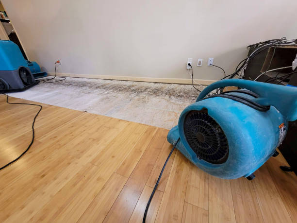 Professional Sewage Cleanup technician working in Godfrey, IL